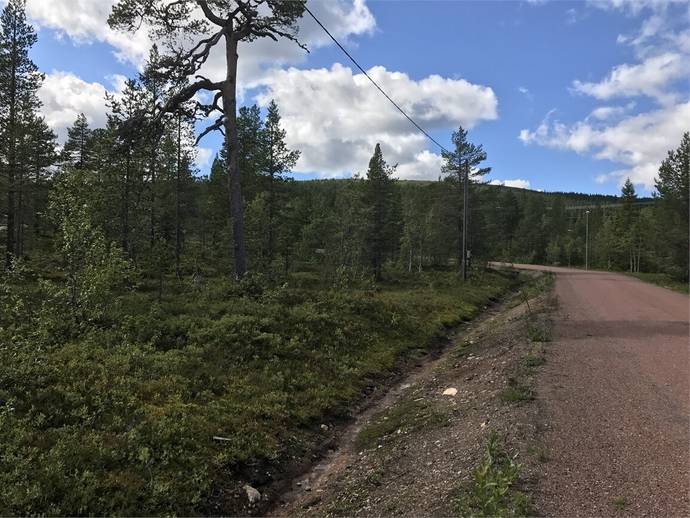 Tickvägen 15