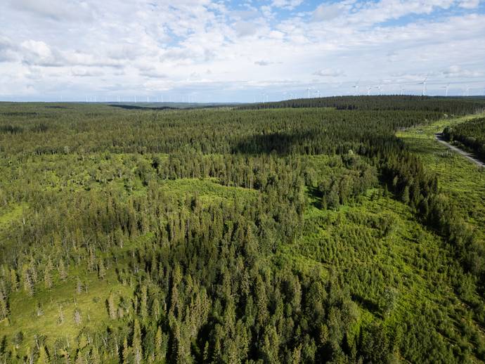 Strömsund Lorås 3:13 - gård/skog till salu - Hemnet