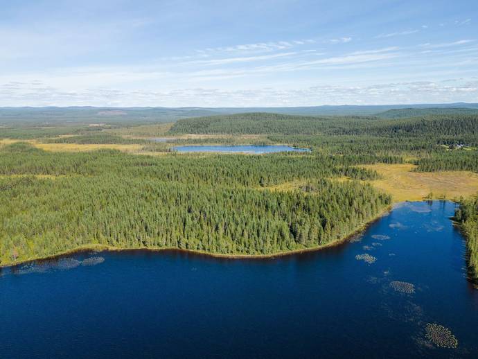 M rttj rn S ld G rd Med Skogsbruk gander tt Mal Mal Kommun m-rttj-rn-s-ld-g-rd-med-skogsbruk-gander-tt-mal-mal-kommun