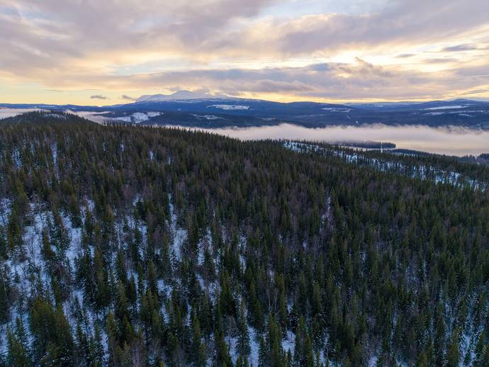 Strömsund Håkafot 1:5 - gård/skog till salu - Hemnet