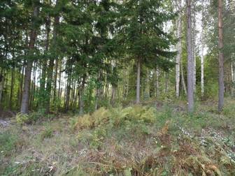 Gräsudden, Åtsjön