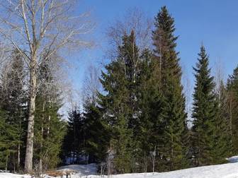 ÖSTERSUND PRISGÅRD 2:11 & 2:15