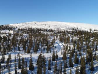Rönnvägen 18, 20, 22, 24, 26 och 28