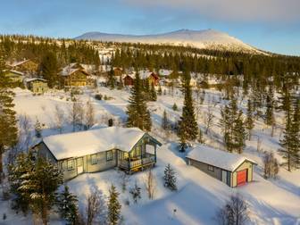 Lövhammaren Linnéan 11