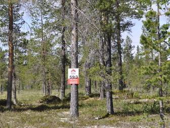 Synderkölen / Skärsjövålen Sonfjället Hede