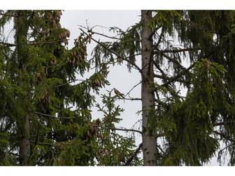 Salaboda, tomt 19:37