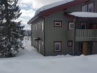 Björnen Höken 12C (C)