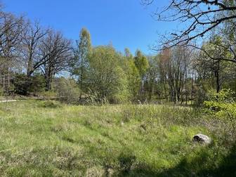 Bostadsbild