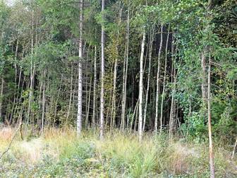 Sätofta 8:7 och 8:15