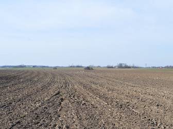 Maglaby 12:3, del av