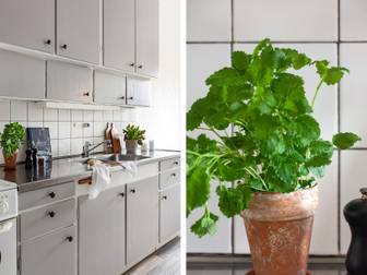 Vattenverksvägen 17 B