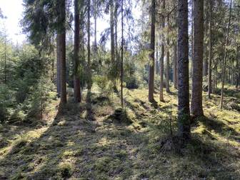 Karlskoga Stråbergsmyren 2:194