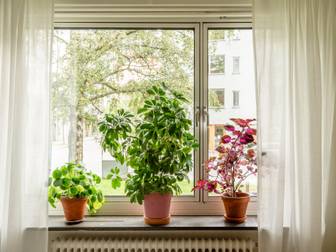 Bostadsbild