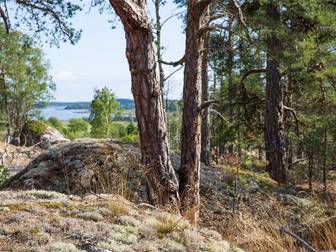 Emils Backe tomt 10-13