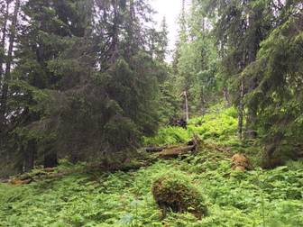 Helgebacken 4:1 del av. 