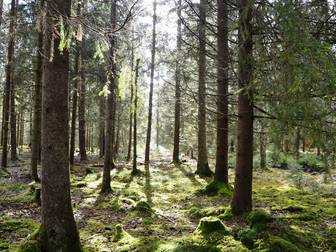 Jälluntofta-Tånga 1:5
