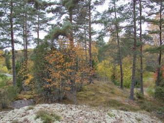 Södra Näsvreten 3 (Södra Svilandet)