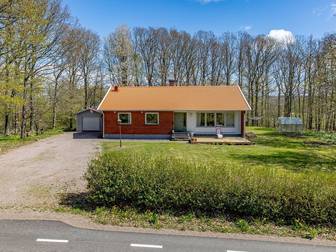 Skintaby Rosenberg 370