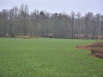 Mönsterås Århult 7:4