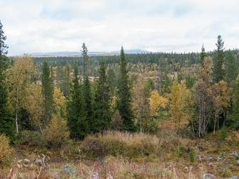 Mor Sönnes Väg 104