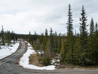 Trivsam hörntomt i Mårdsundsbodarna på Lingonvägen!