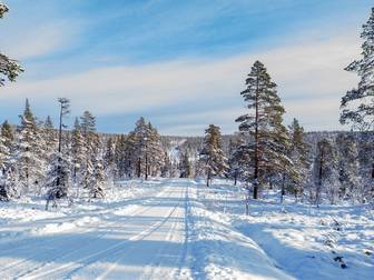 Storhogna Rönnvägen