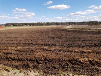 Korsmaden Jord och skog