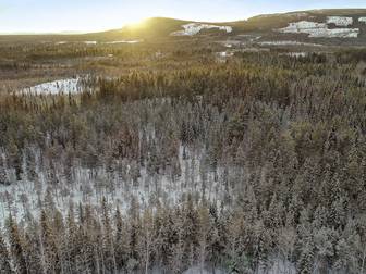 Skogsfastighet Trångfors