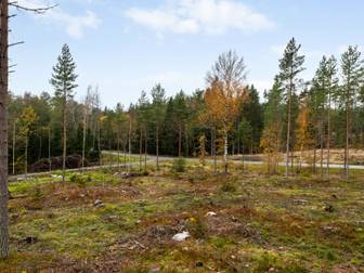 Bostadsbild