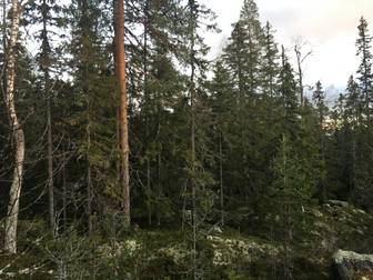 Del av Malung-Sälen Bu 11:15