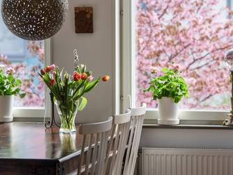 Pippi Långstrumps Gata 46