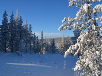Klockarfjället Lilla Stigen