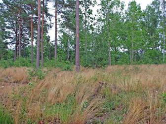 Norra Korpemåla 322