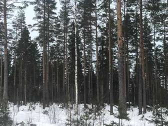 NORDANSTIG ORTSJÖ 1:12