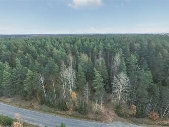 Del 2 av Veckholm 1:1