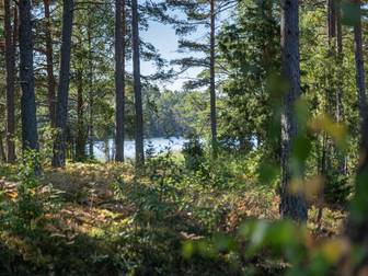 Bostadsbild