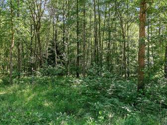 Gatuprästens väg 12