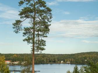 Bostadsbild