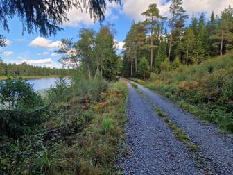 Bostadsbild