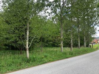 Bro prästgård 1:36