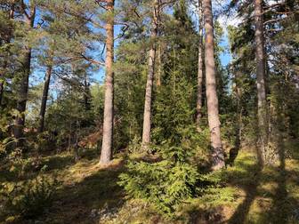 Bostadsbild