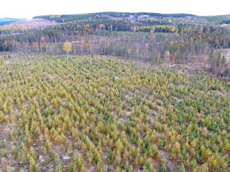 Ljusdal Öster-Skästra 9:32