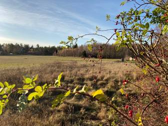 Åsättra bryggväg 70