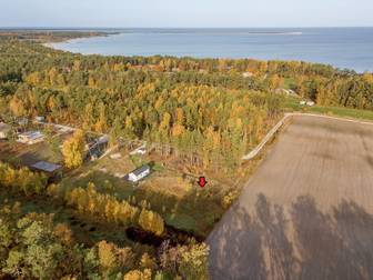 Fårö Stora Gasmora 5904A