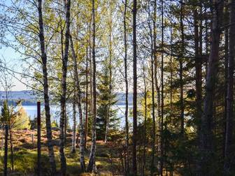 Bullerbergsvägen 49