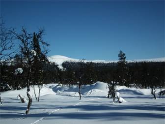 Grövelsjön -Övre Storsäterns tomtområde etapp 2 : TJÄRN
