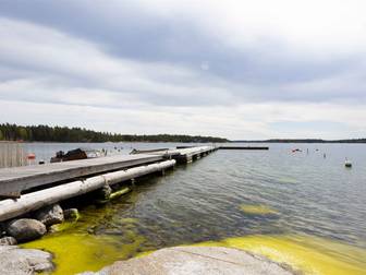 Hasselö by Sandskogen 2B