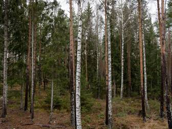 Bråstaborgsgatan 12