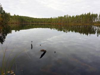 Hästskotjärnen