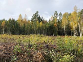 Apertin Mellbyn 5-13